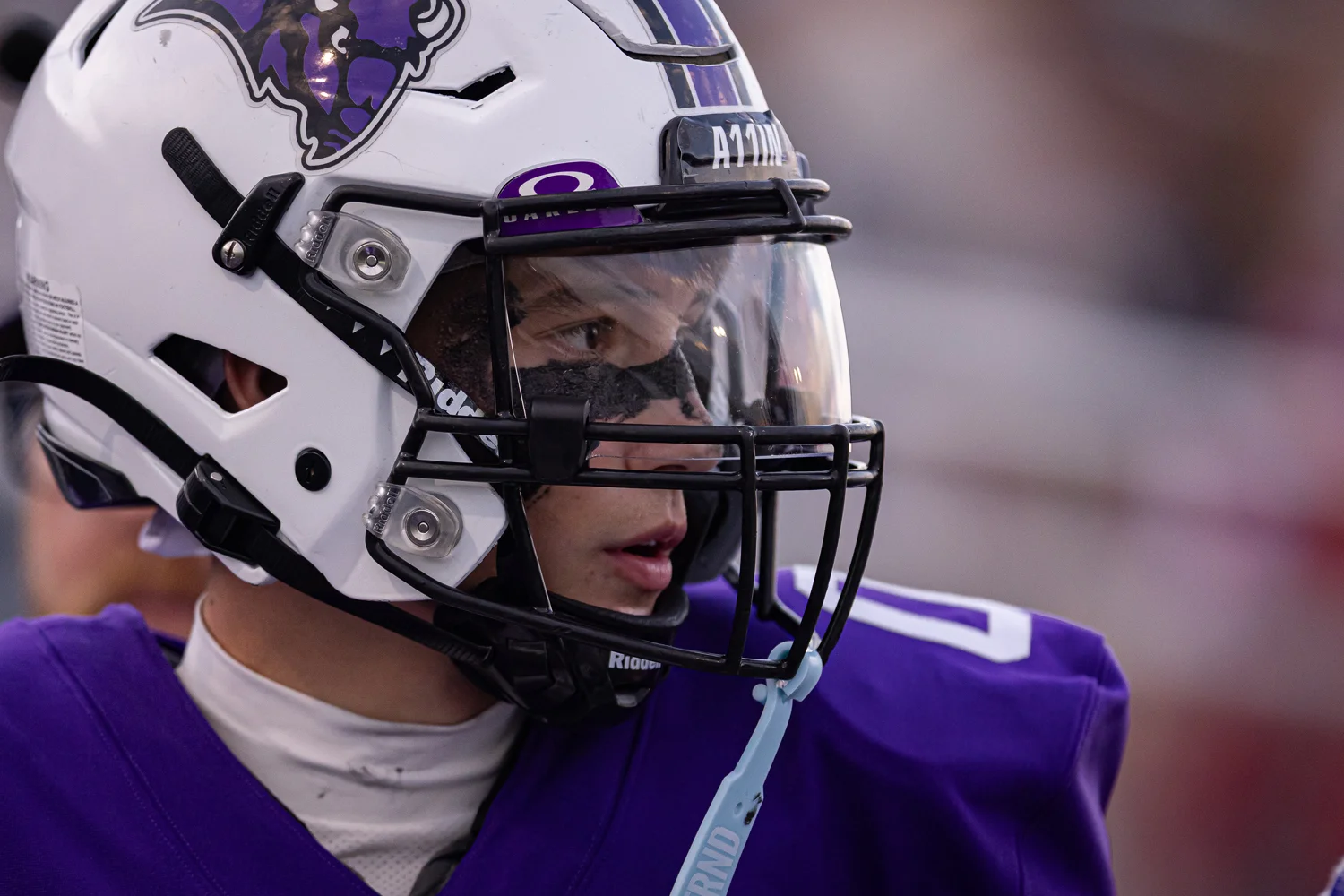 Buffalo Bison focused