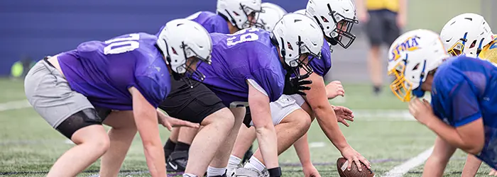 Buffalo Bison ready for the play