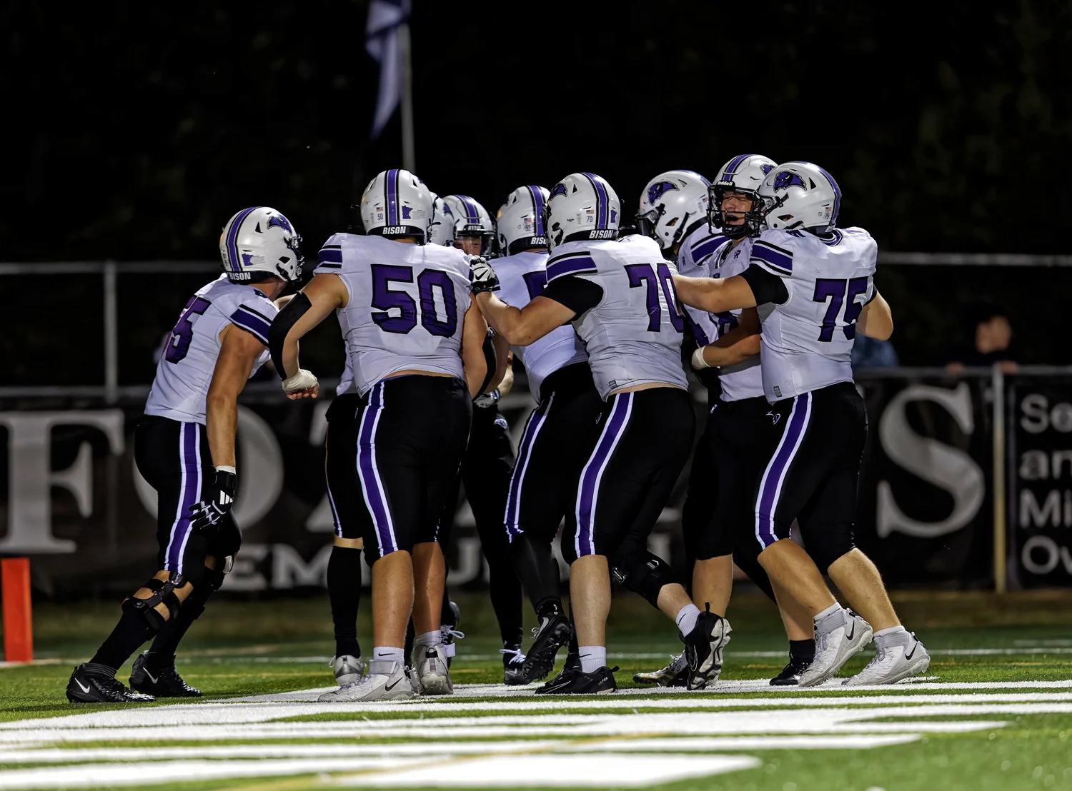 Buffalo Bison Touchdown Celebration