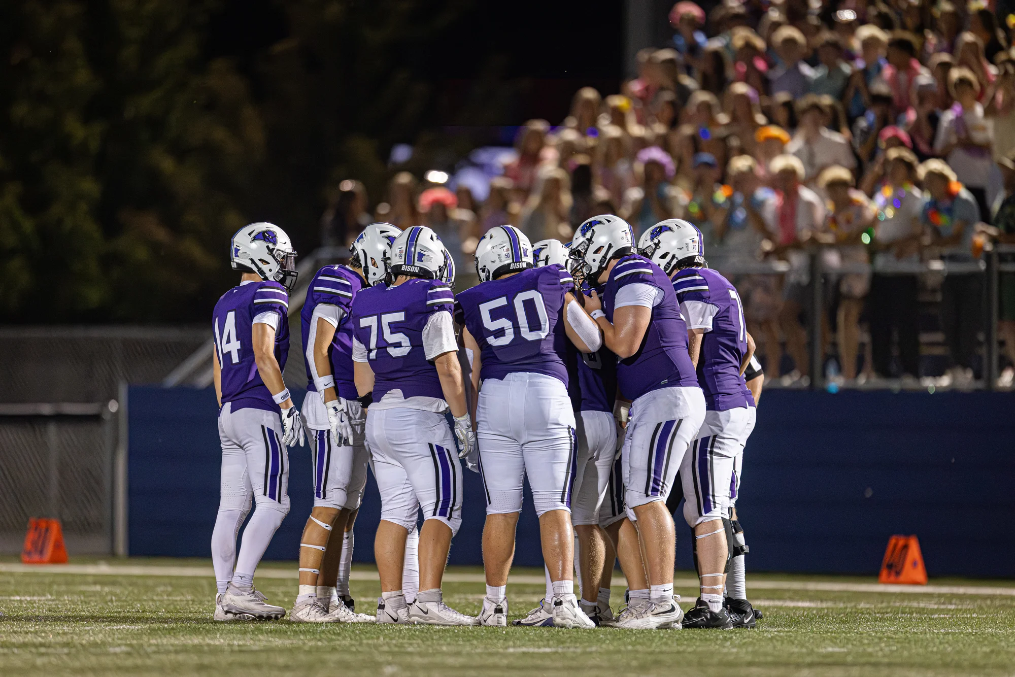 Buffalo Bison in their huddle getting the call