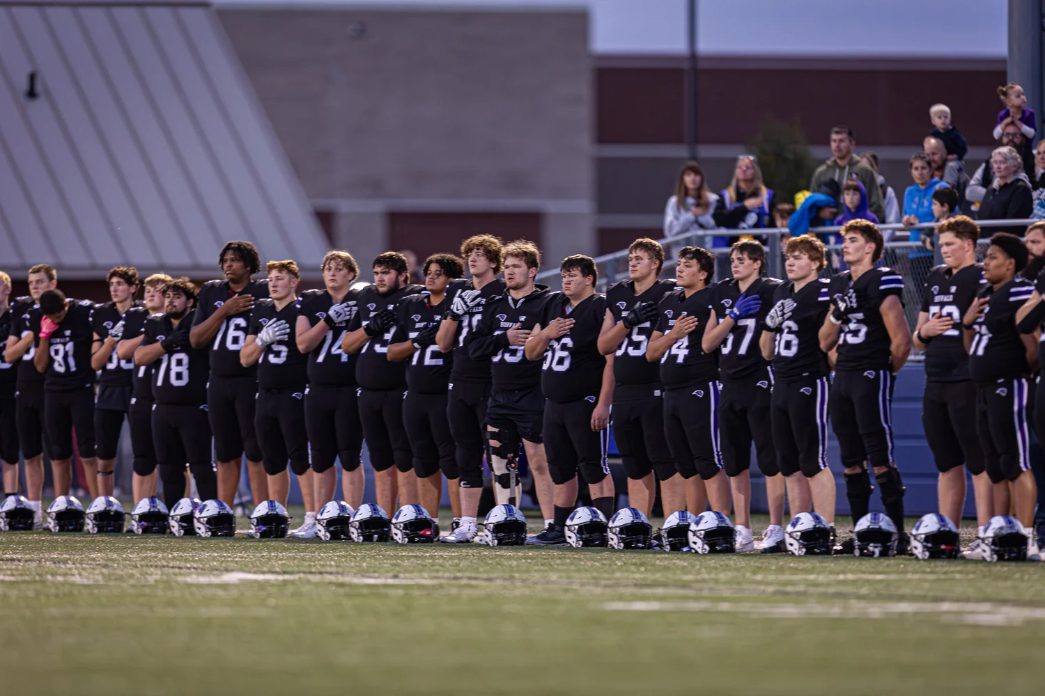 Buffalo standing for the National Anthem