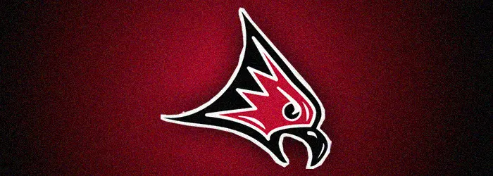 UW-River Falls Falcons Football