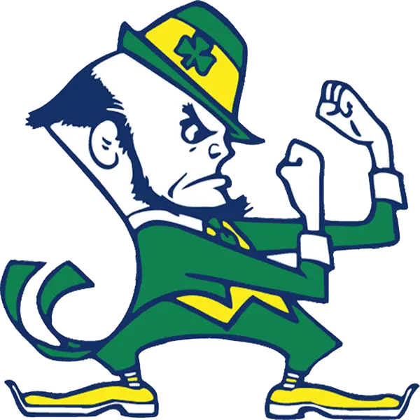 Rosemount Irish Football